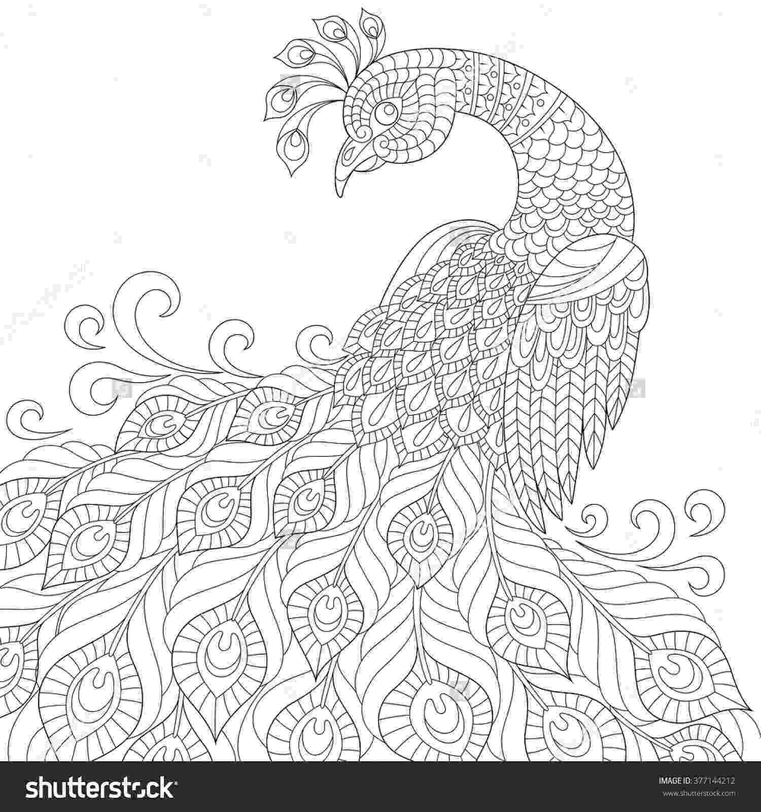 black and white coloring pages for adults decorative peacock adult anti stress coloring page black pages black coloring for adults white and 