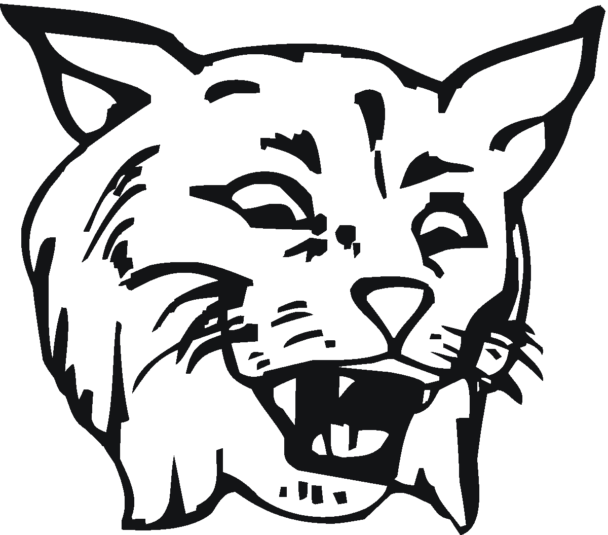 bobcat pictures to color bobcat coloring pages to download and print for free color pictures to bobcat 