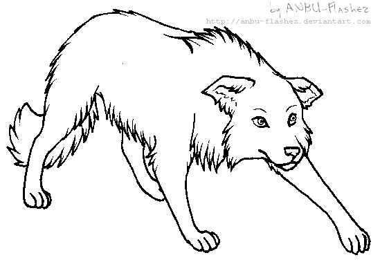 border collie coloring pages border collie coloring page coloring pages border collie coloring pages 