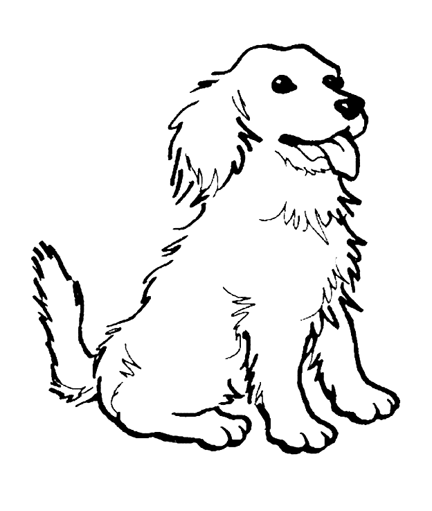 border collie coloring pages border collie coloring pages coloring pages pages border coloring collie 
