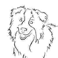 border collie coloring pages border collie coloring pages surfnetkids pages coloring collie border 