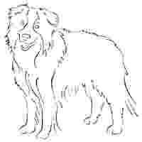 border collie coloring pages standing border collie coloring pages surfnetkids border pages coloring collie 