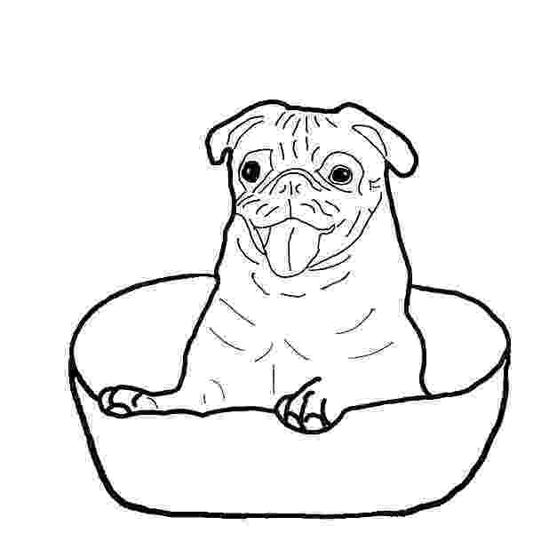 boxer puppy coloring pages boxer coloring pages puppy pages boxer coloring 
