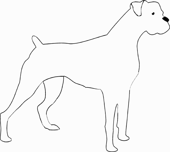 boxer puppy coloring pages boxer dog coloring pages az sketch coloring page coloring puppy boxer pages 