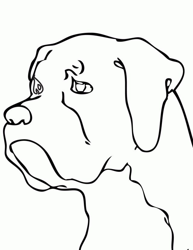 boxer puppy coloring pages boxer dog coloring pages coloring home coloring boxer pages puppy 