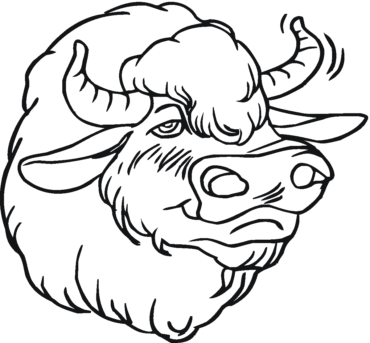 buffalo pictures to color 89 best buffalo and bison sketches images on pinterest pictures color to buffalo 