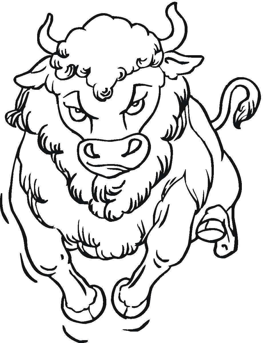 buffalo pictures to color free buffalo and bison coloring pages color pictures buffalo to 