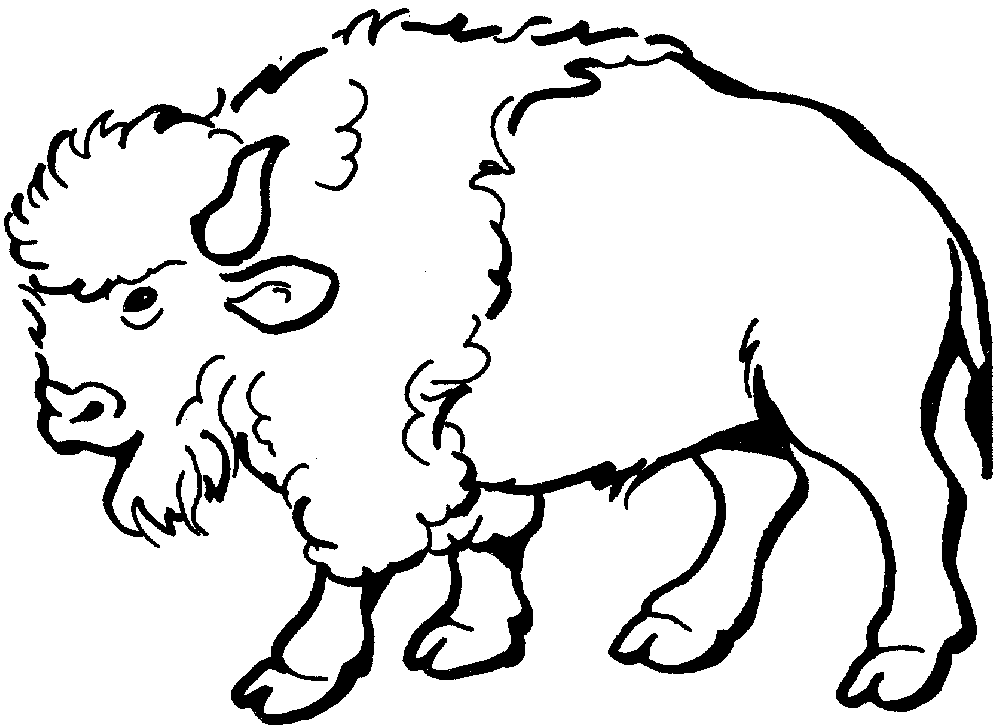 buffalo pictures to color free printable bison coloring pages for kids to pictures buffalo color 