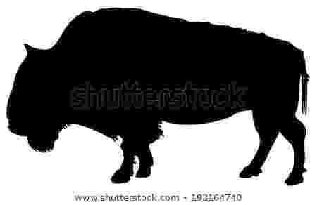 buffalo vector american bison clip art vector images illustrations buffalo vector 