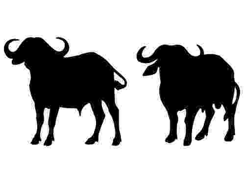 buffalo vector buffalo stock photography image 34880052 vector buffalo 