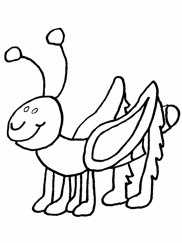 bug coloring page free printable bug coloring pages for kids coloring bug page 