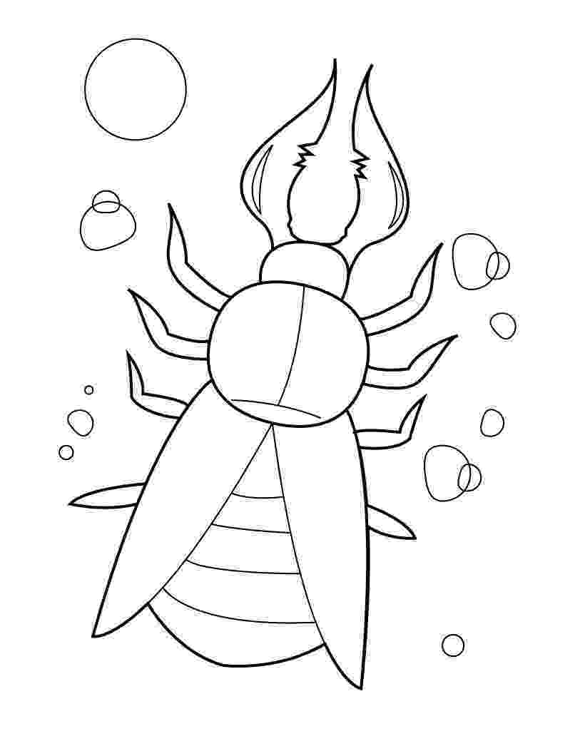 bug coloring page free printable bug coloring pages for kids coloring bug page 