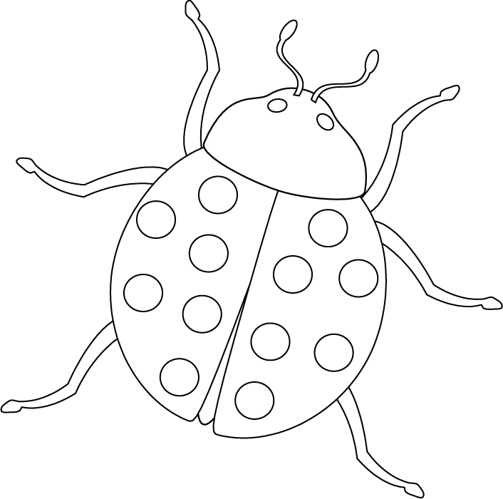 bug coloring page free printable bug coloring pages for kids page bug coloring 