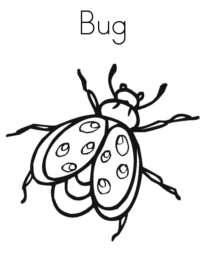 bug coloring page free printable bug coloring pages for kids page coloring bug 