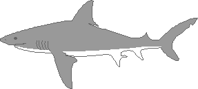 bull shark coloring pages megalodon shark attacks ship coloring page free shark coloring pages bull 
