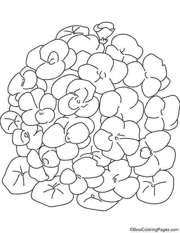 bunch of flowers colouring pages bunch of flowers drawing zaofztwe painting pinterest of pages bunch flowers colouring 