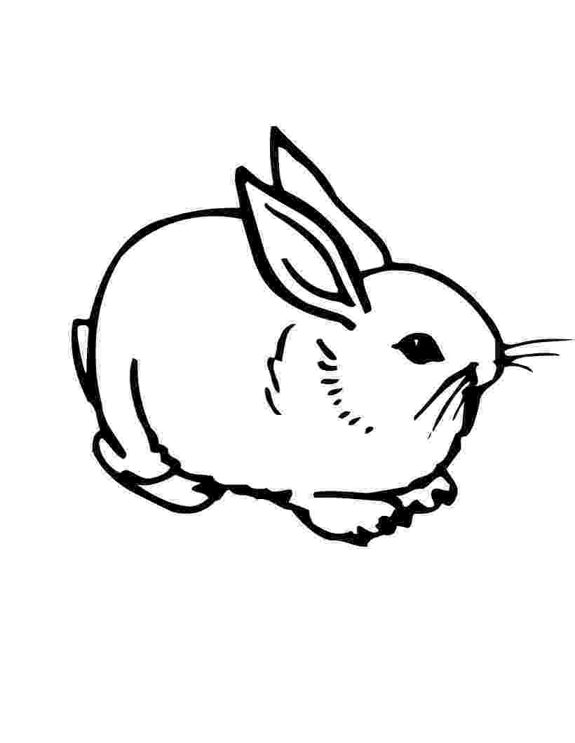 bunny coloring picture free printable rabbit coloring pages for kids bunny picture coloring 