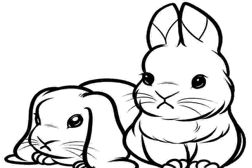 bunny images to color easter bunny coloring pages north texas kids to images color bunny 