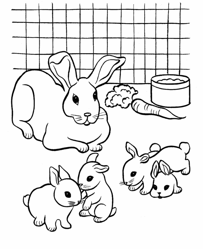 bunny rabbit pictures to color free printable rabbit coloring pages for kids to pictures rabbit bunny color 