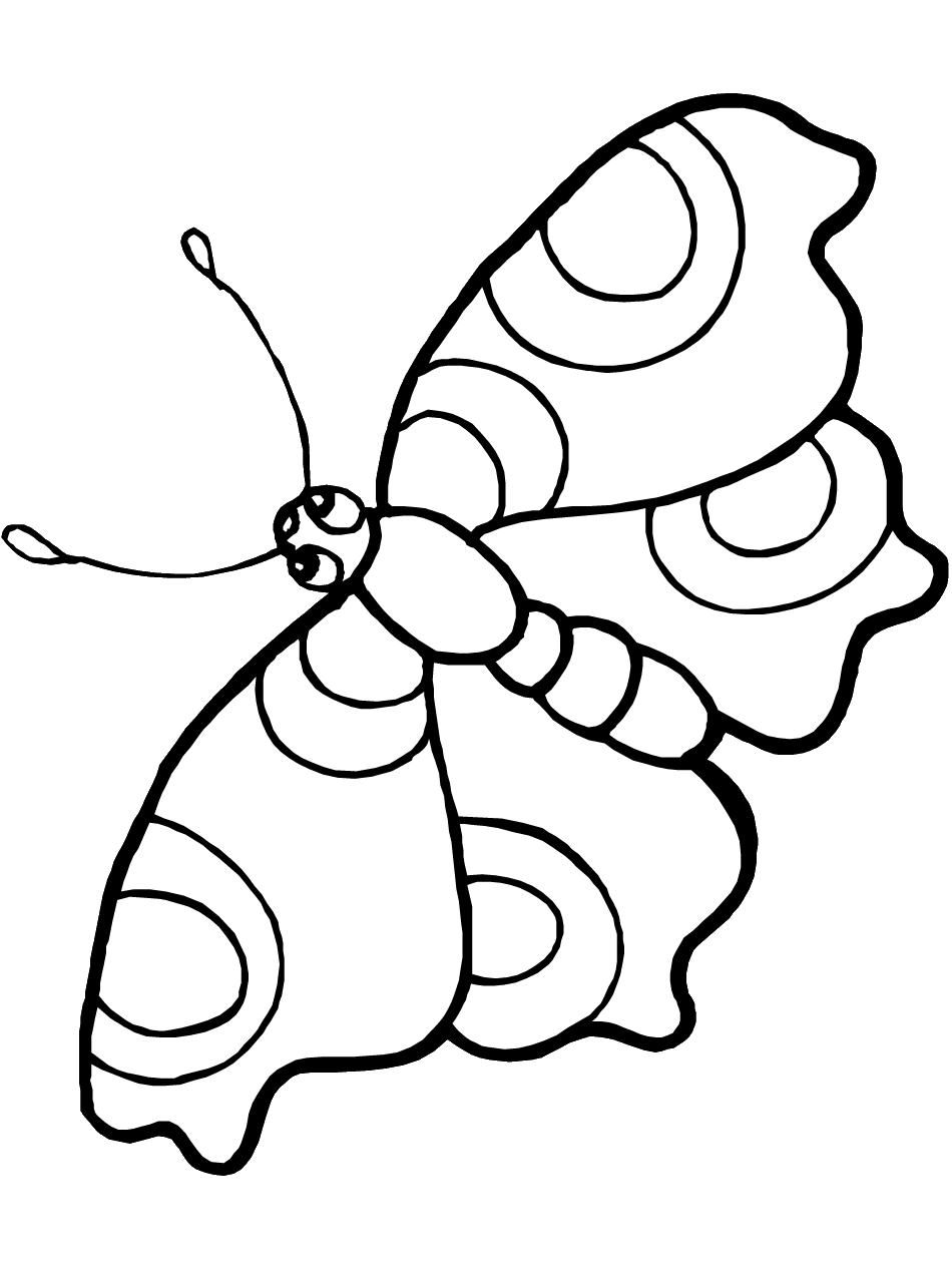 butterflies coloring pages butterfly pictures to print david simchi levi butterflies coloring pages 