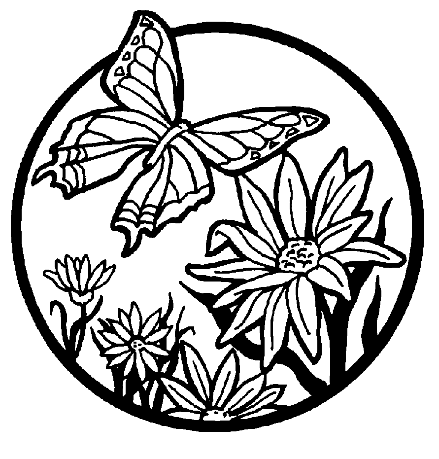 butterflies coloring pages free printable butterfly colouring pages in the playroom pages coloring butterflies 