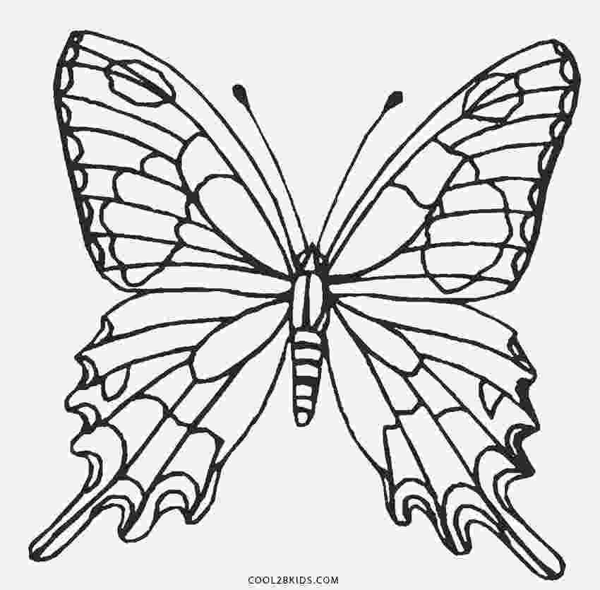 butterfly color pages 40 free printable butterfly coloring pages butterfly color pages 