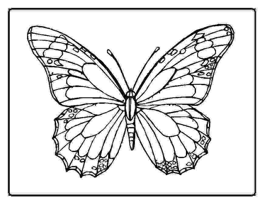 butterfly color pages free printable butterfly coloring pages for kids color butterfly pages 