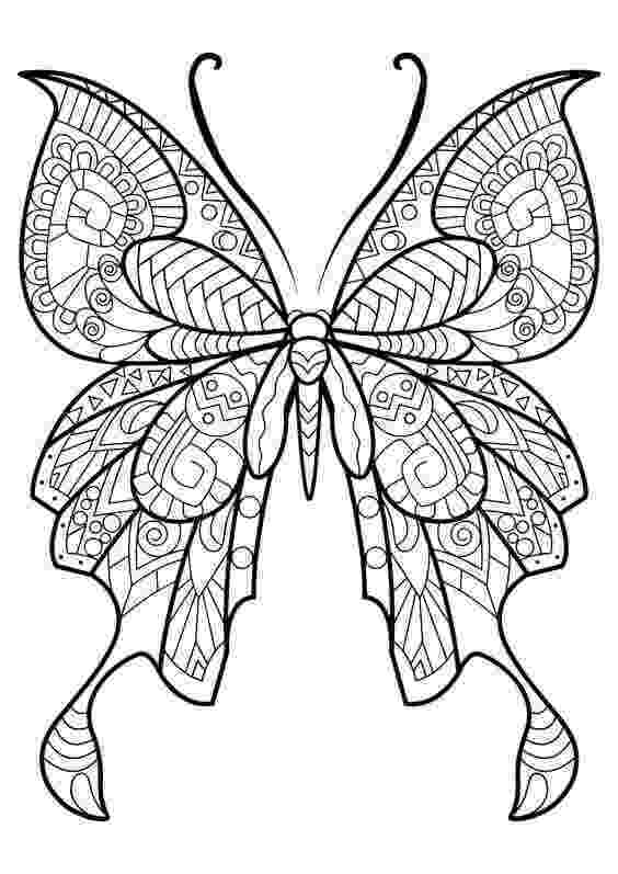 butterfly color pages free printable butterfly coloring pages for kids color pages butterfly 
