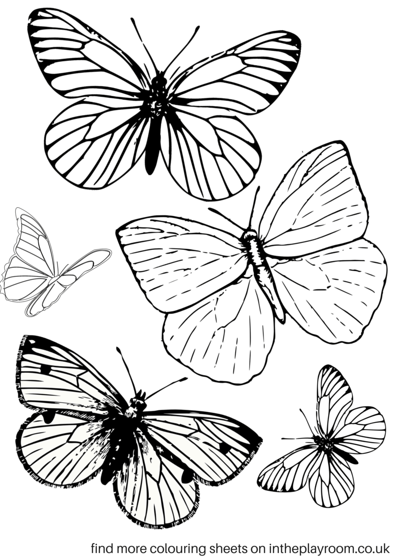 butterfly color pages free printable butterfly coloring pages for kids pages color butterfly 