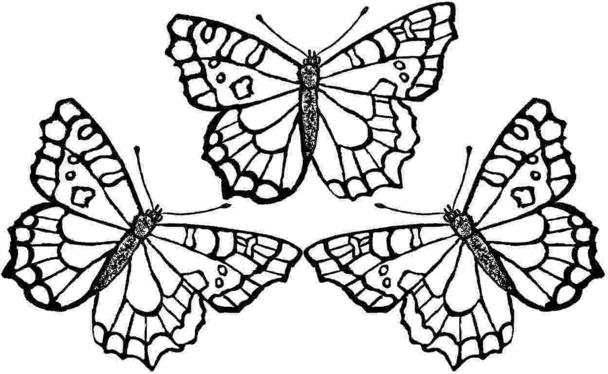 butterfly color pages free printable butterfly coloring pages for kids pages color butterfly 1 1