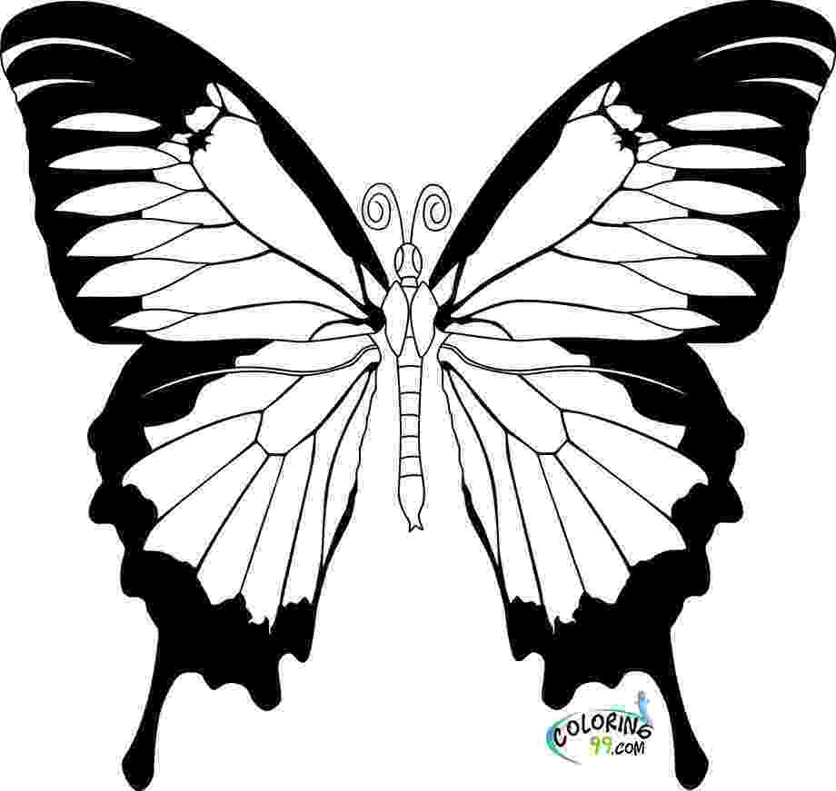 butterfly color pages printable butterfly coloring pages for kids cool2bkids butterfly pages color 1 1