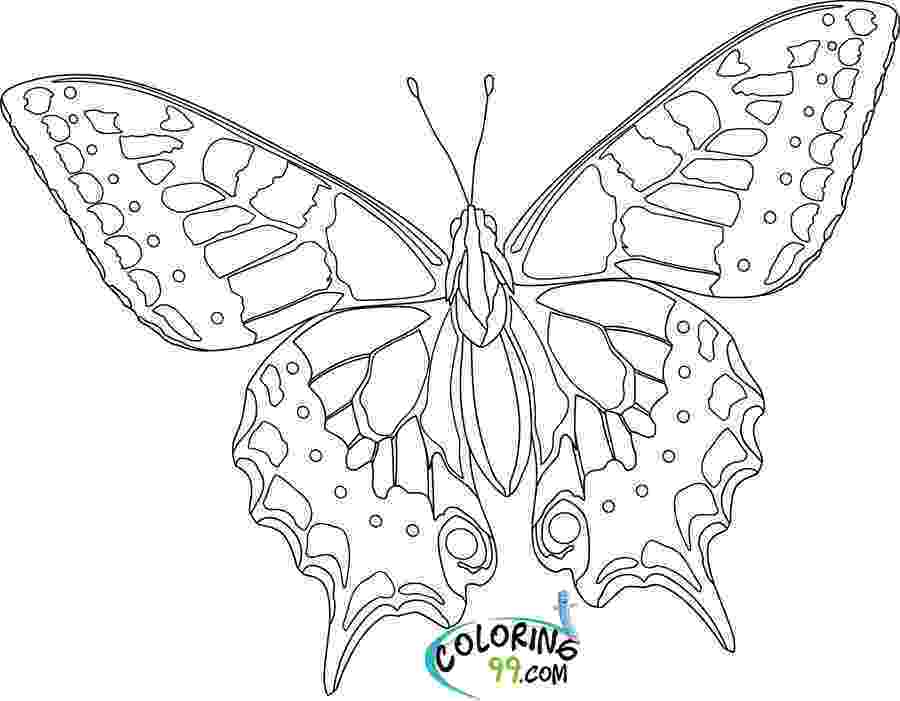 butterfly color pages printable butterfly coloring pages for kids cool2bkids color pages butterfly 