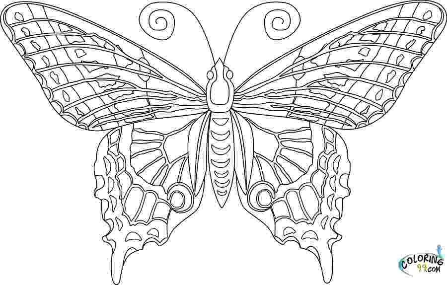 butterfly coloring pages for adults expose homelessness fancy stained glass window butterfly for pages butterfly coloring adults 