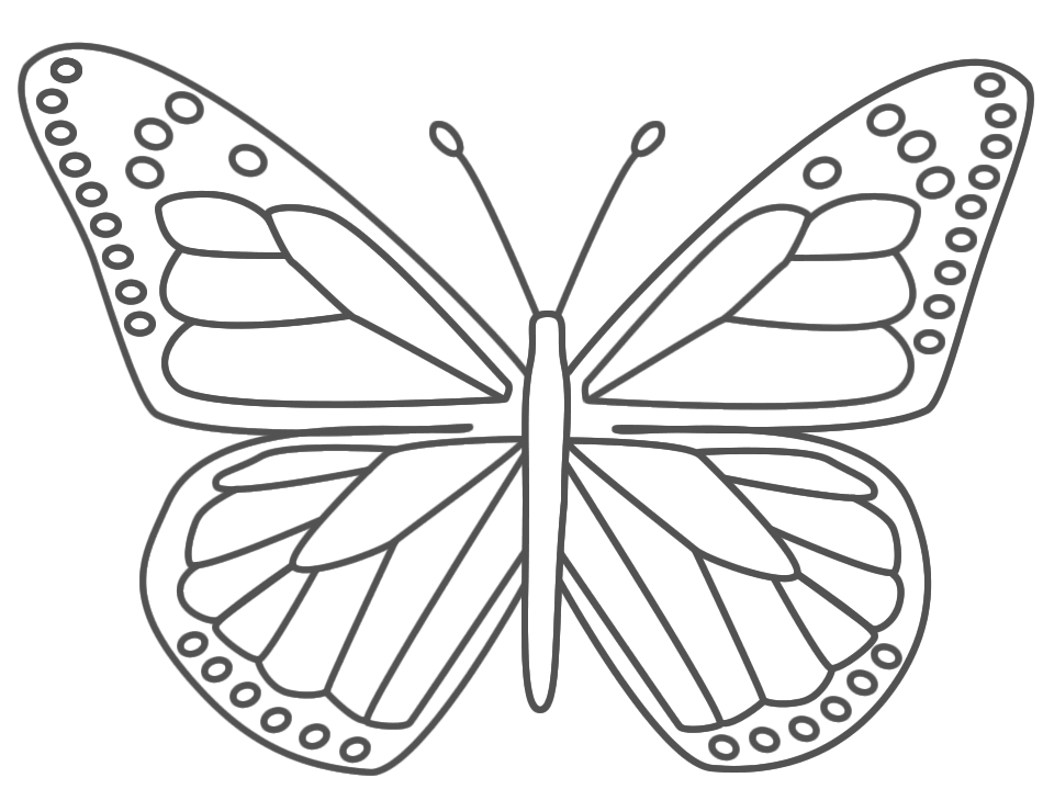 butterfly coloring pages free printable butterfly coloring pages coloring free printable butterfly pages 