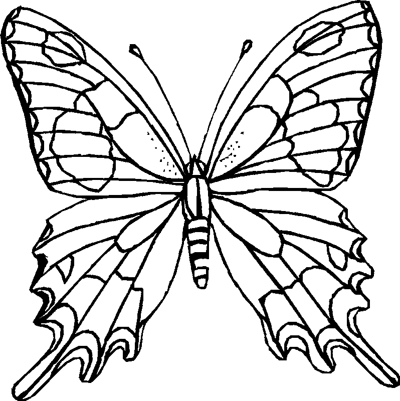 butterfly coloring pages free printable printable butterfly coloring pages for kids cool2bkids printable coloring free pages butterfly 