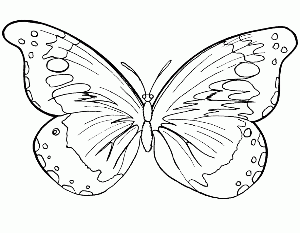 butterfly pictures to colour and print free printable butterfly coloring pages for kids pictures butterfly print colour and to 