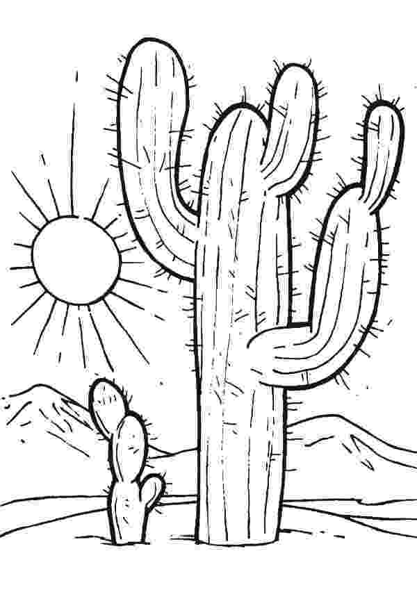 cactus pictures to color free flowers coloring pages printable flowers coloring color pictures cactus to 