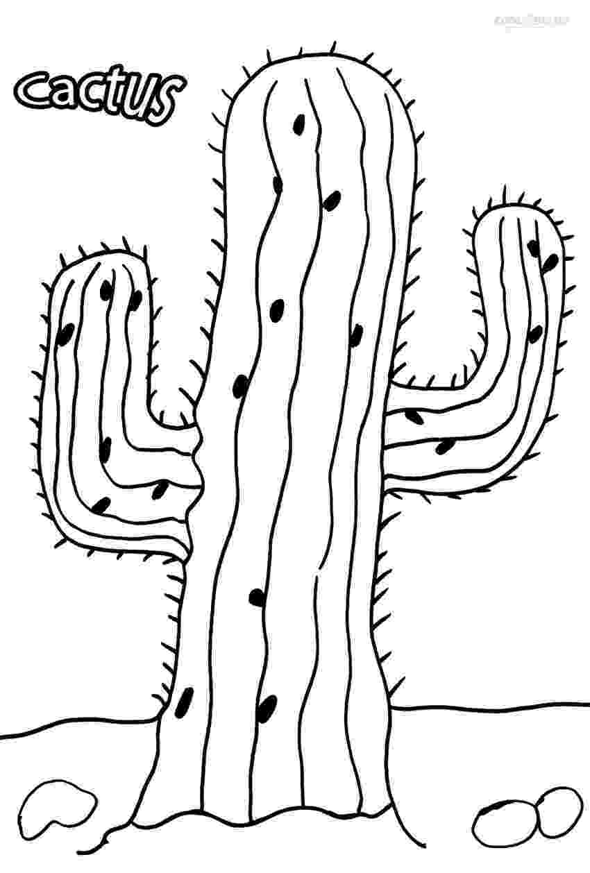 cactus pictures to color printable cactus coloring pages for kids cool2bkids color to cactus pictures 
