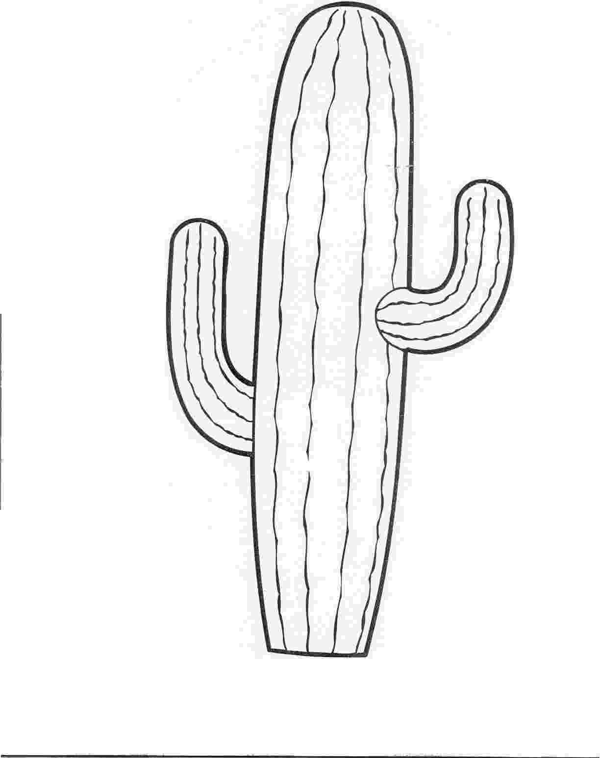 cactus pictures to color top 10 cactus coloring pages for toddlers to pictures cactus color 