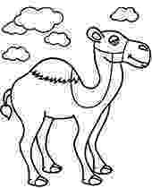 camel pictures to colour animal coloring pages topcoloringpagesnet colour to camel pictures 