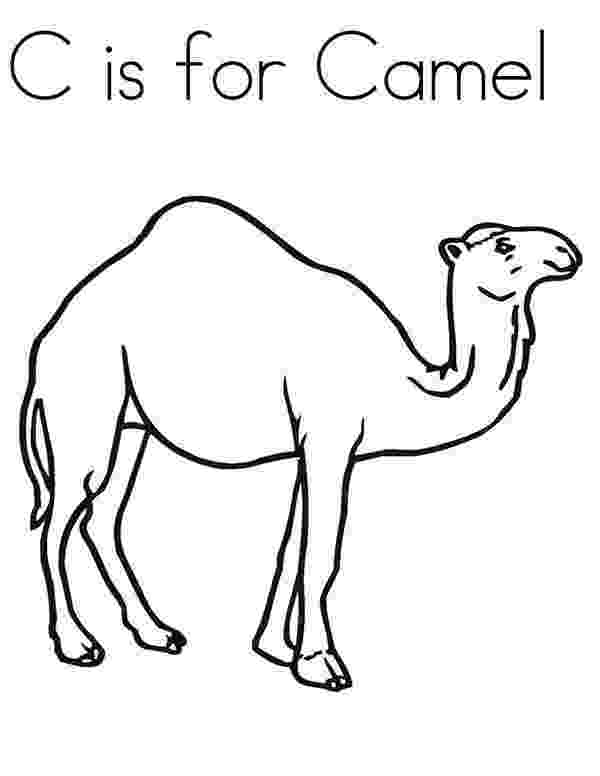 camel pictures to colour c is for camel coloring page download print online camel pictures to colour 