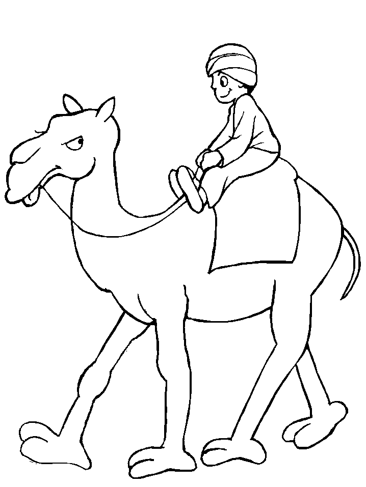 camel pictures to colour camel coloring pages for students preschool and kindergarten pictures camel to colour 