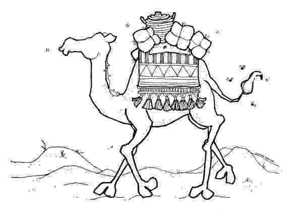 camel pictures to colour camel coloring pages to download and print for free to pictures camel colour 