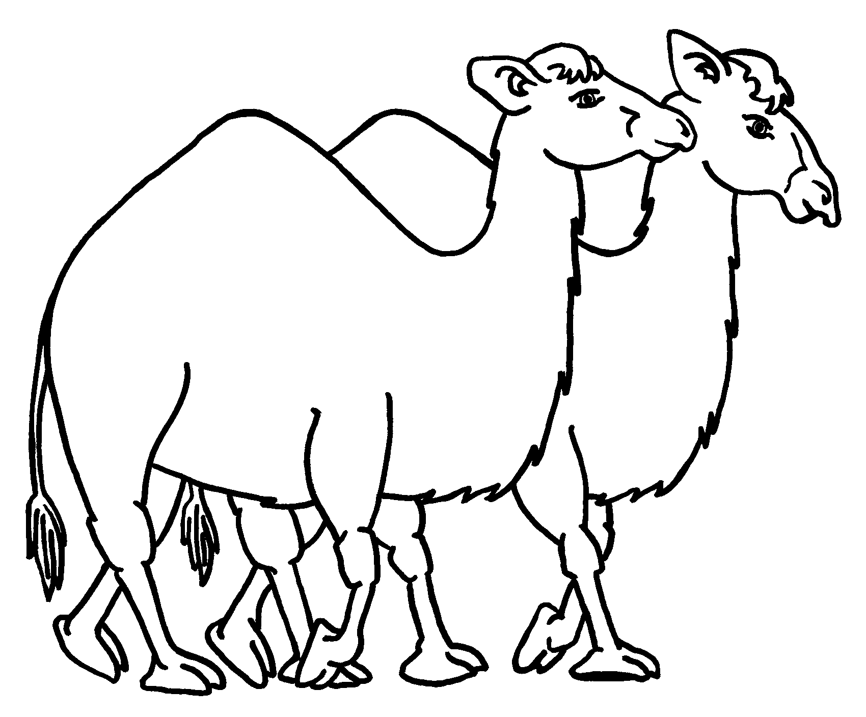 camel pictures to colour free printable camel coloring pages for kids to camel pictures colour 