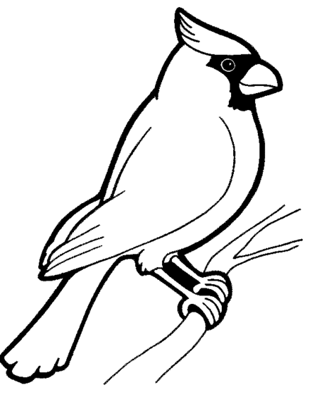 cardinal bird coloring page cardinal coloring sheet bird coloring pages animal page coloring cardinal bird 