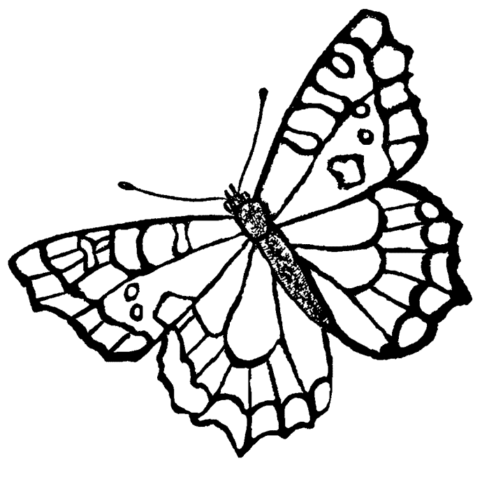 cartoon butterfly pictures to color cartoon coloring pages happy birthday pets color pictures cartoon butterfly to 