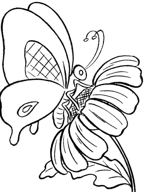 cartoon butterfly pictures to color pin by get highit on coloring pages butterfly coloring pictures butterfly cartoon color to 
