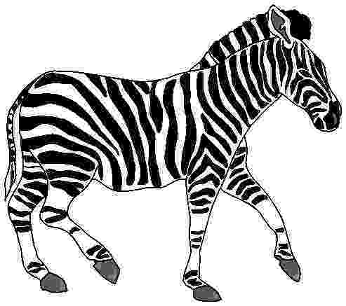 cartoon zebra animated zebra pictures image group 84 cartoon zebra 