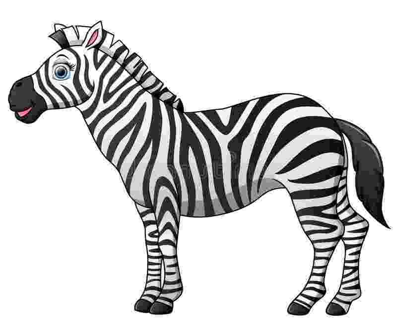 cartoon zebra cute cartoon zebra on white background stock vector zebra cartoon 