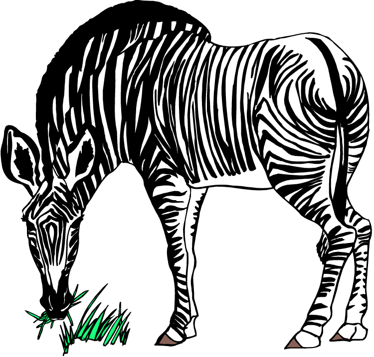 cartoon zebra gambar kartun zebra gambar v zebra cartoon 